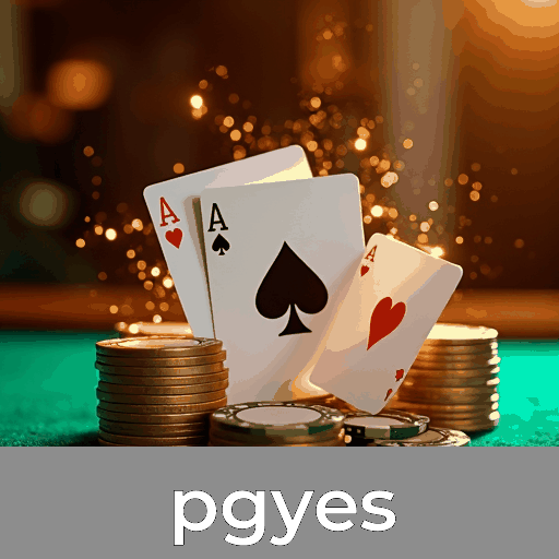 Explore o pgyes: Segurança e serviço profissional em um só lugar